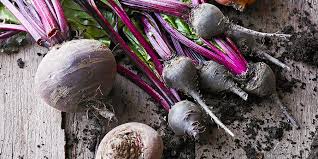 BEETROOT